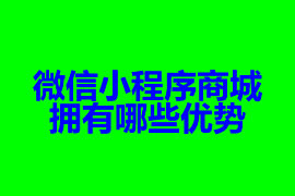 微信小程序商城擁有哪些優(yōu)勢(shì)【廣州小程序開發(fā)】